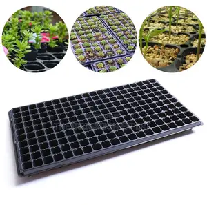 50hole Seed Tray