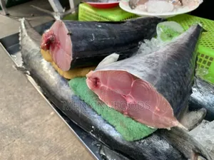 Fresh Kingfish in Ghana – Wholesale Retail | Direct From the Sea