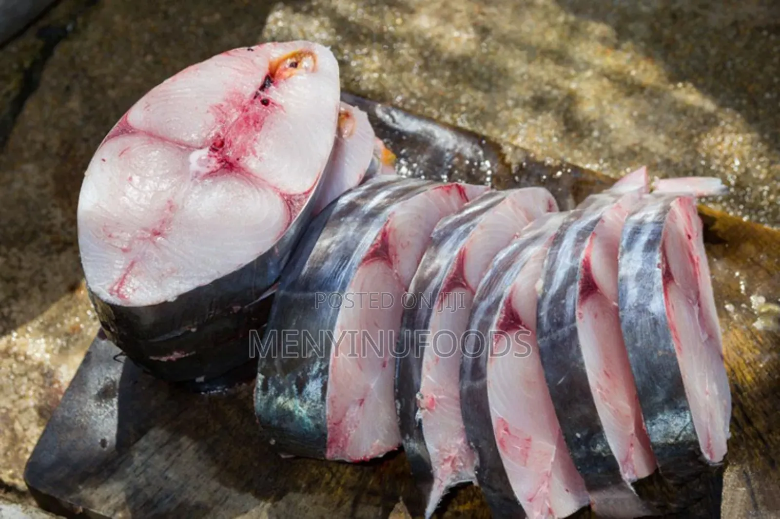 Fresh Kingfish in Ghana – Wholesale Retail | Direct From the Sea