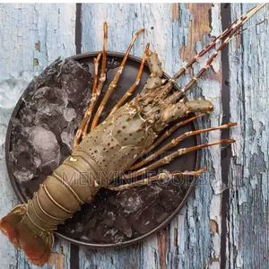 Fresh Lobster in Ghana – Wholesale Retail | Direct From the Sea