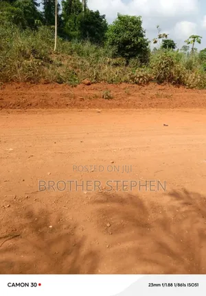 Registered Farmland For Sale At Asamankese.