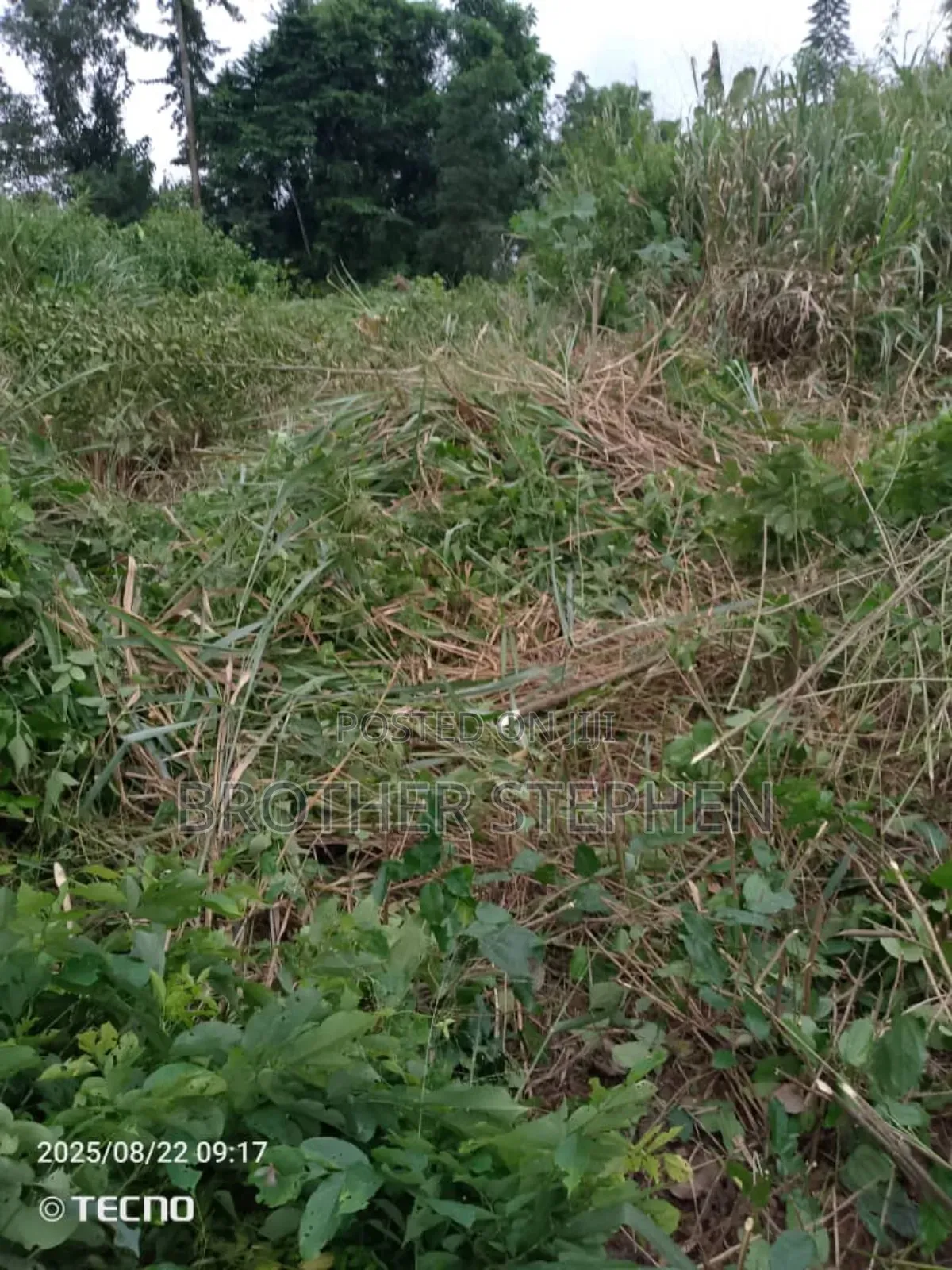 25,000 Acres Of Registered Farmland For Sale At Asamankese.