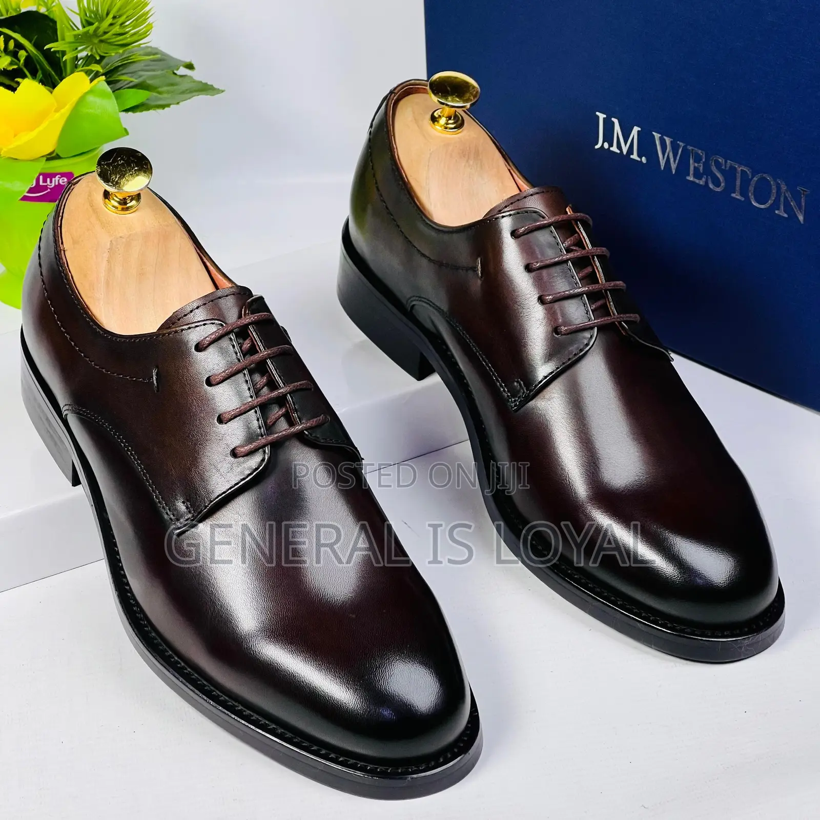 J.M Weston Dark Coffee Executive Men Leather Shoe