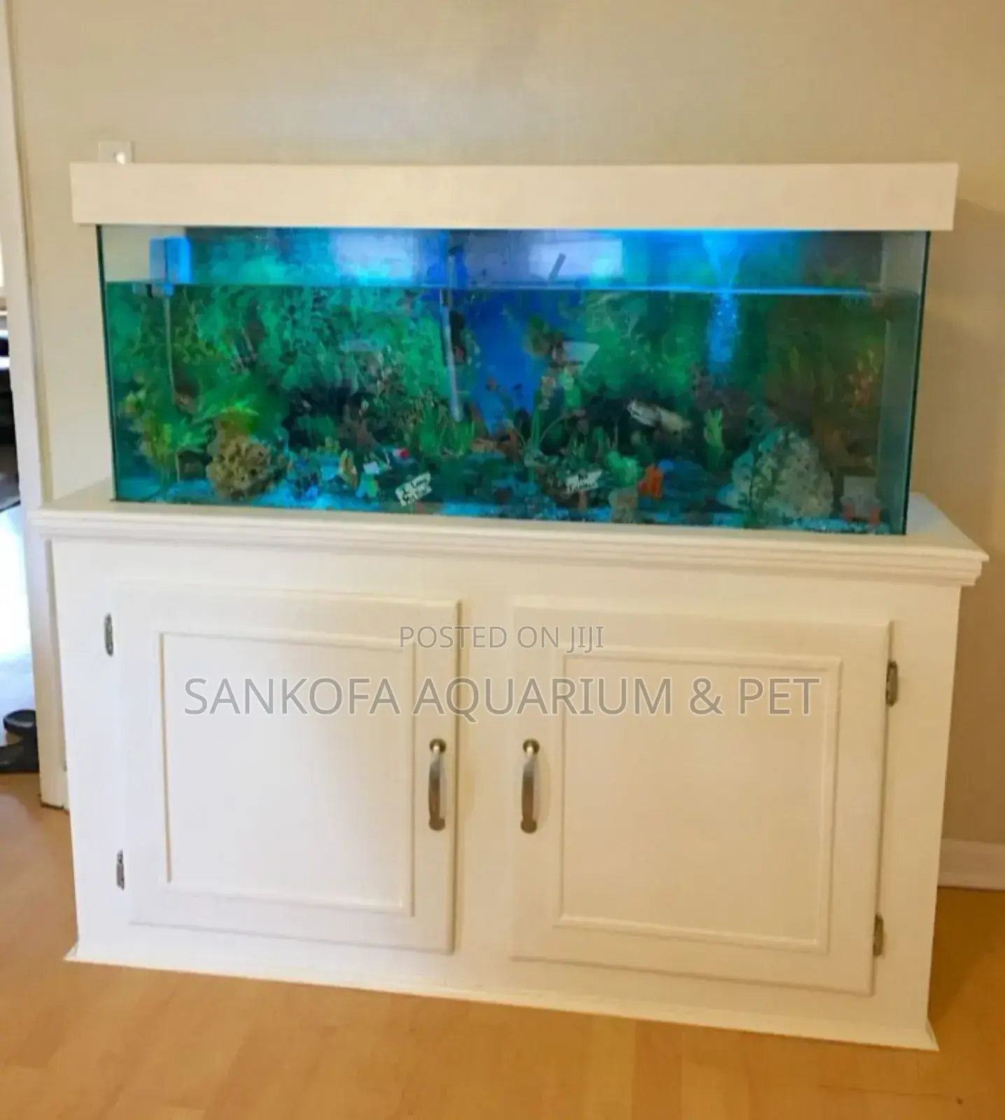 4 Feet Furniture Aquarium