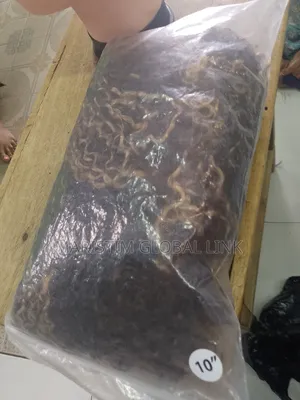 10 Inches Double Drown Human Hair