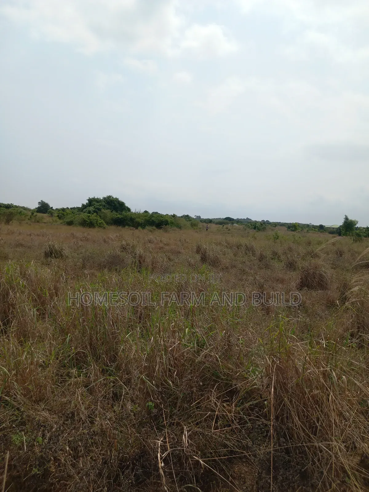 8 Plots of Beautiful, Flat Terrain Land With Wide, Open View