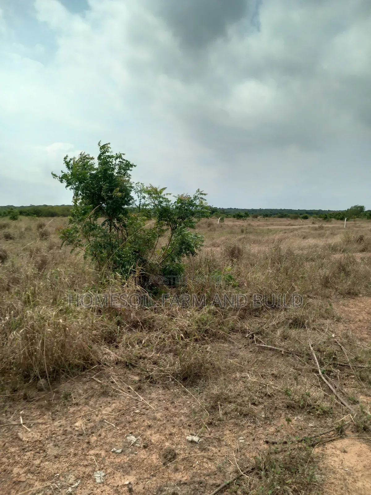 8 Plots of Beautiful, Flat Terrain Land With Wide, Open View