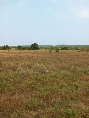 8 Plots of Beautiful, Flat Terrain Land With Wide, Open View