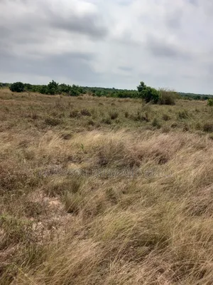 8 Plots of Beautiful, Flat Terrain Land With Wide, Open View