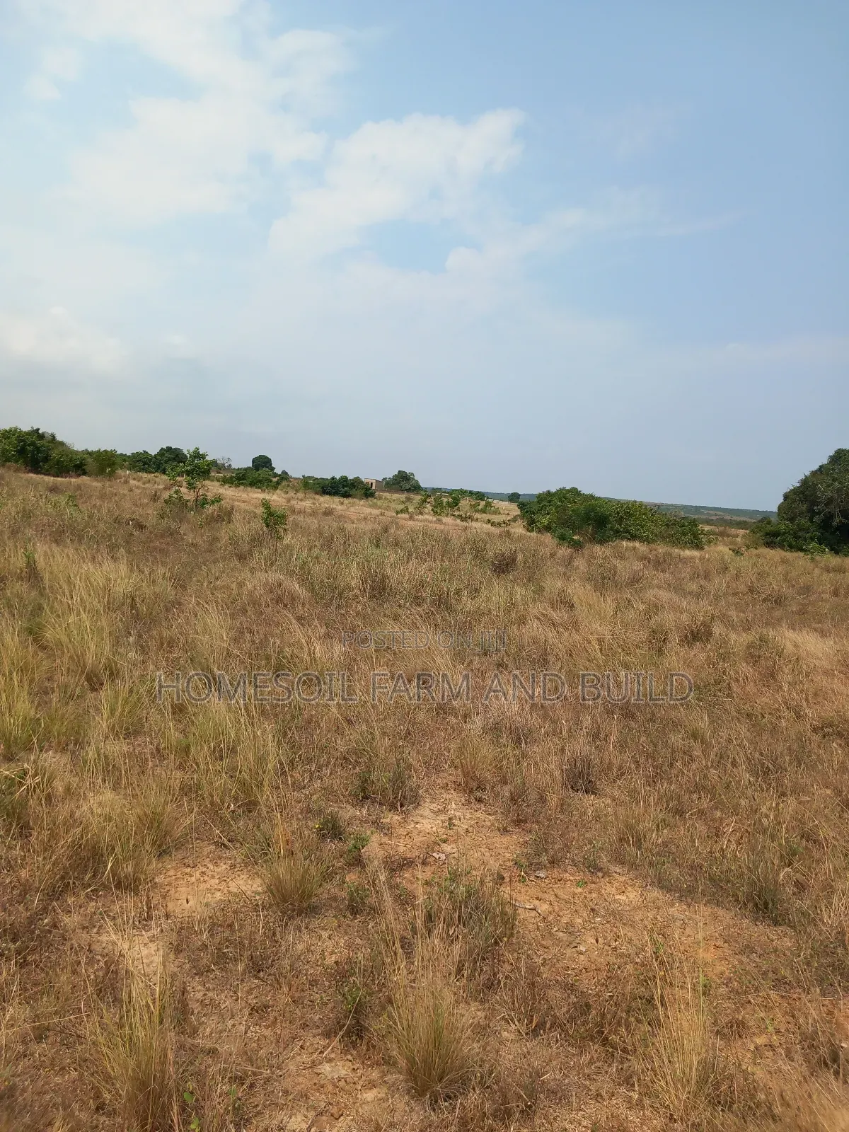 8 Plots of Beautiful, Flat Terrain Land With Wide, Open View