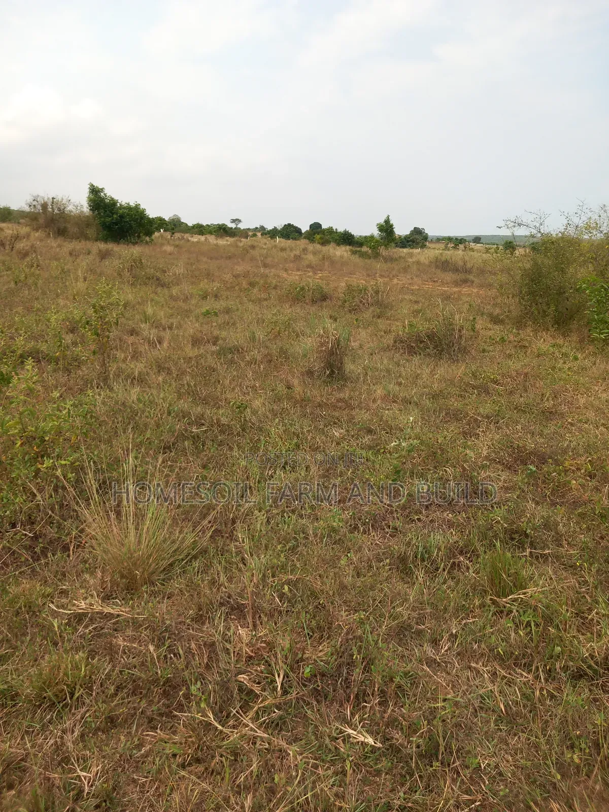 8 Plots of Beautiful, Flat Terrain Land With Wide, Open View