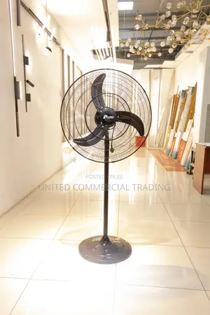 Standing Fan