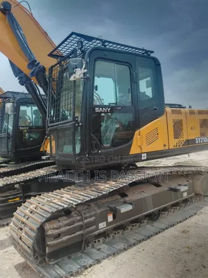 Brand New Original China Type Sany215 for Sale
