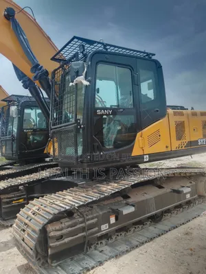 Brand New Original China Type Sany215 for Sale
