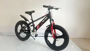 Ben Rors 20 Inch Bike