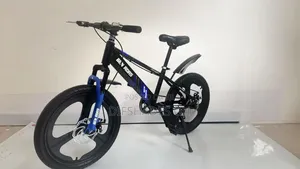 Ben Rors 20 Inch Bike