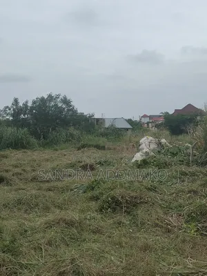 Litigation Free Full Plot Forsale at Appiadu