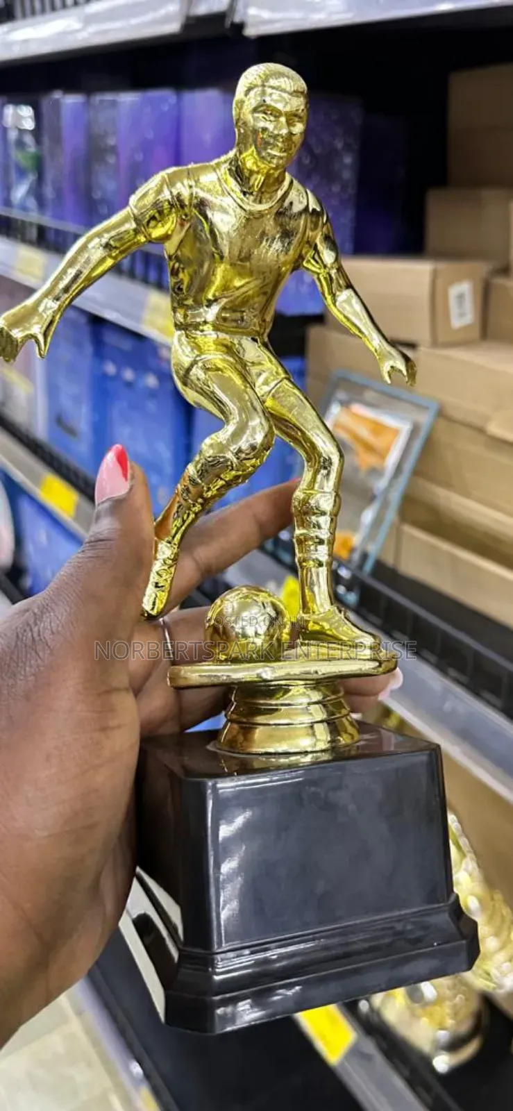 Trophy(Tpy668067)