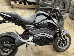Japan Electric Bike