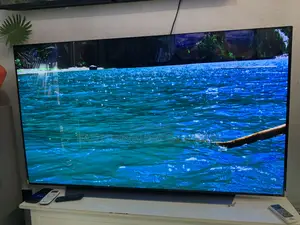 Cx Oled Tv 55 Inches Lg Smart Uhd Hdr+ 120 Hz Lg's Thinq Ai Web Os Tv