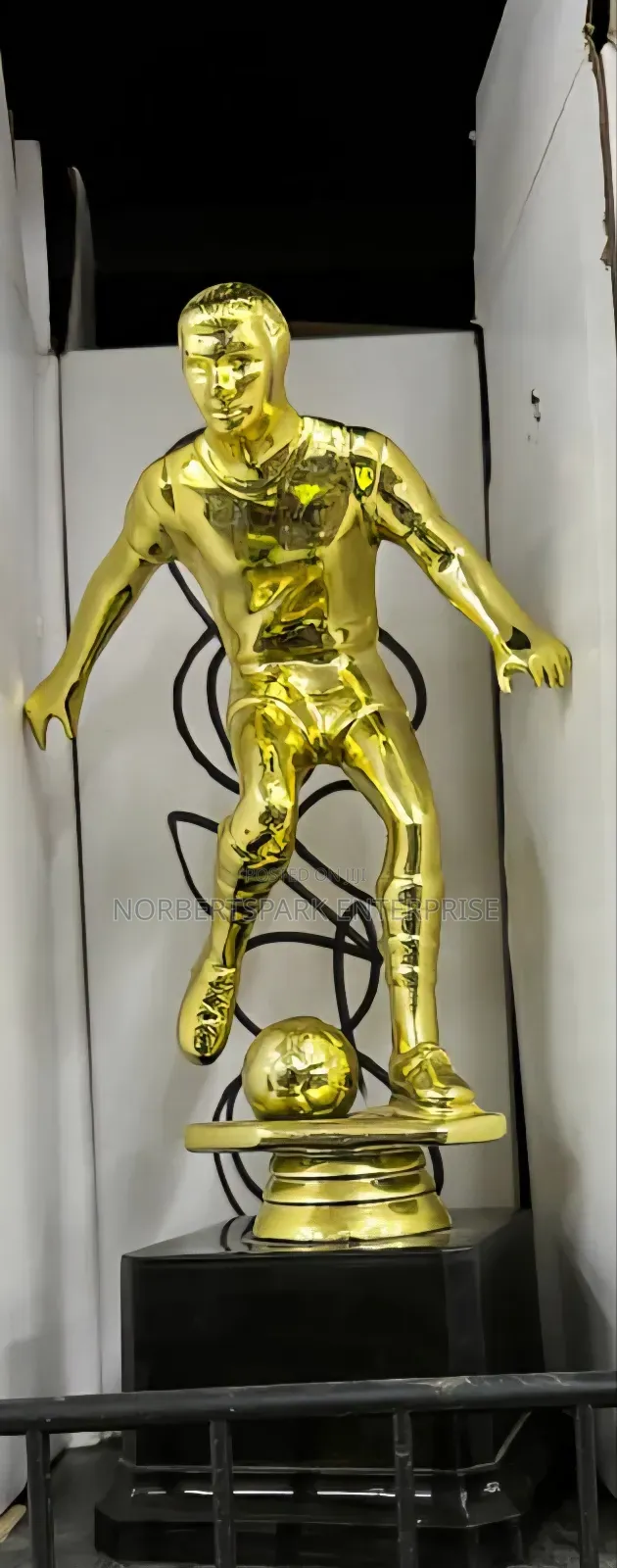 Trophy(Tpy668067)