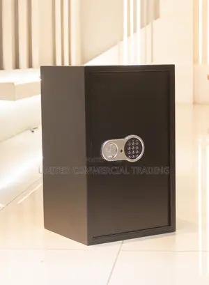 Electronic Safe