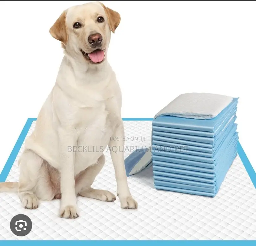 Extra Large ,Large Pee Pads