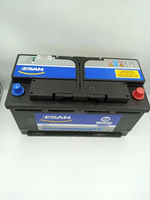 17 Plates Esan Car Battery From Europe