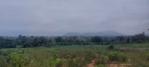 Land's For Sale