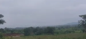 Land's For Sale