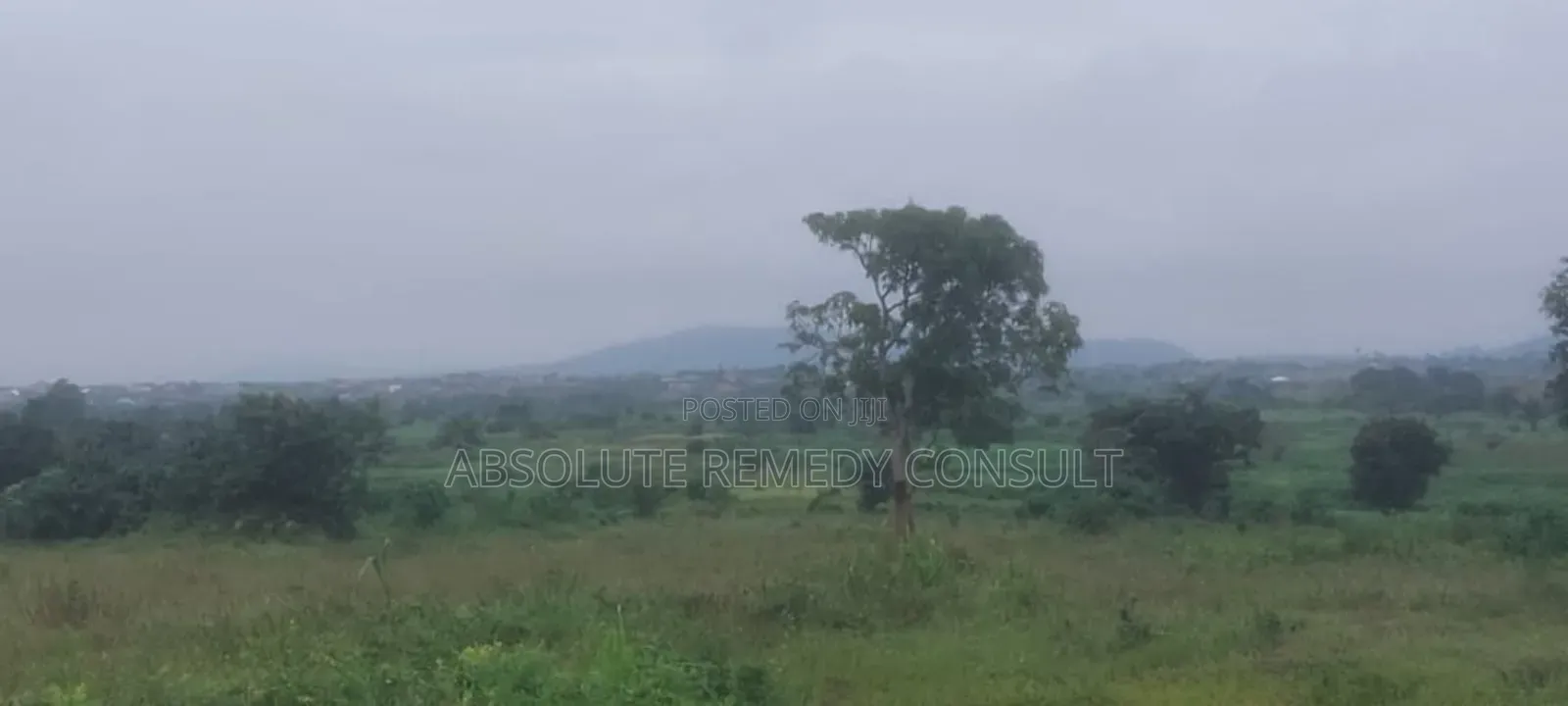 Land's For Sale
