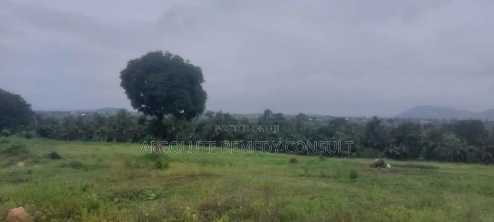 Land's For Sale