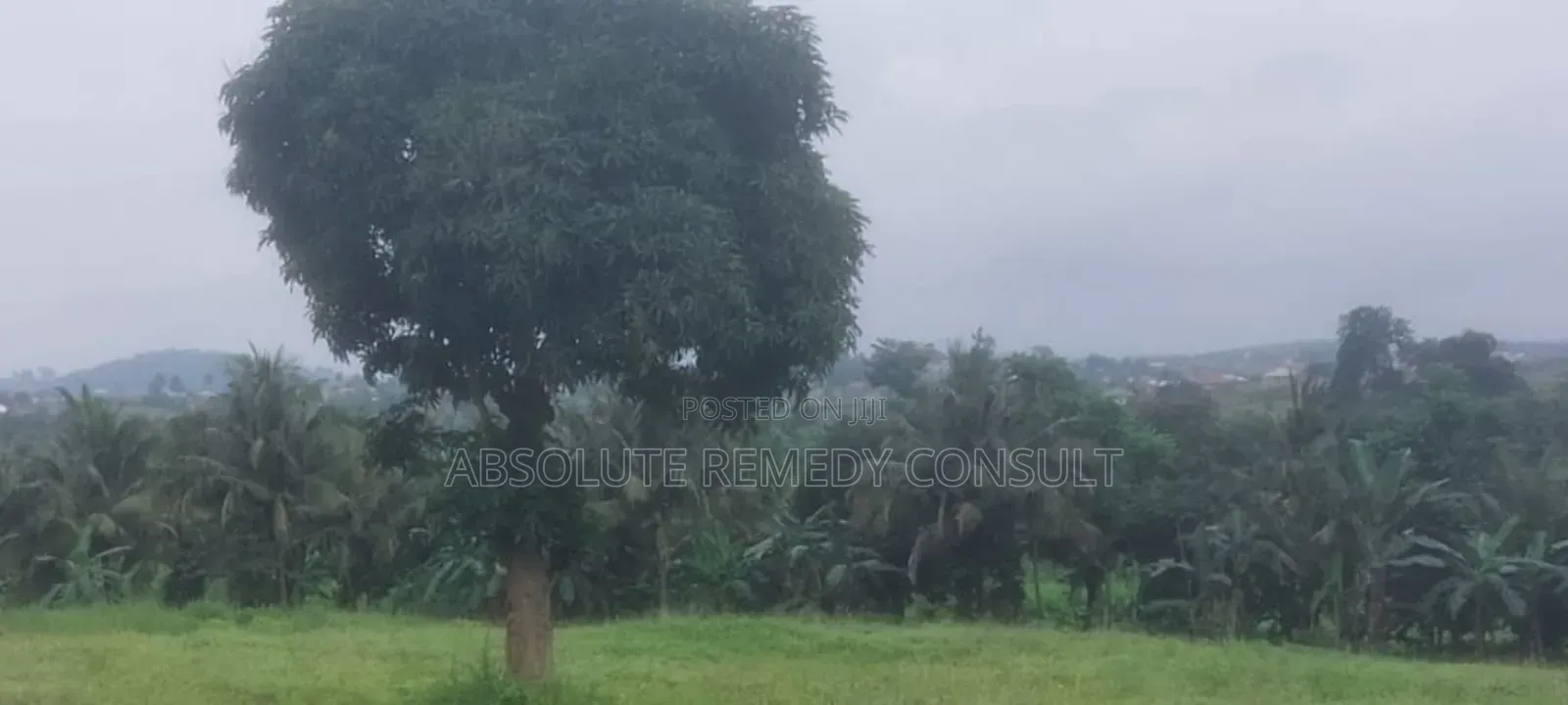 Land's For Sale