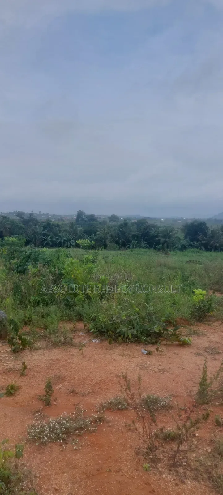 Land's For Sale