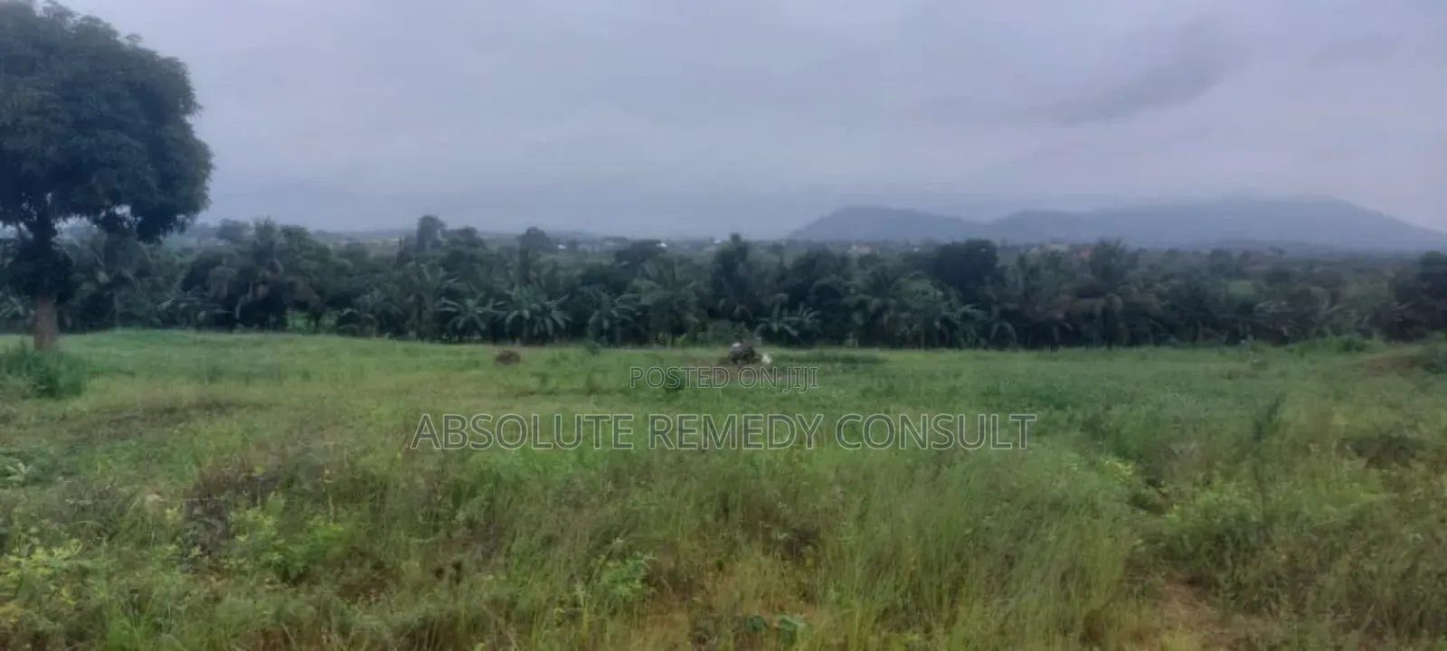 Land's For Sale