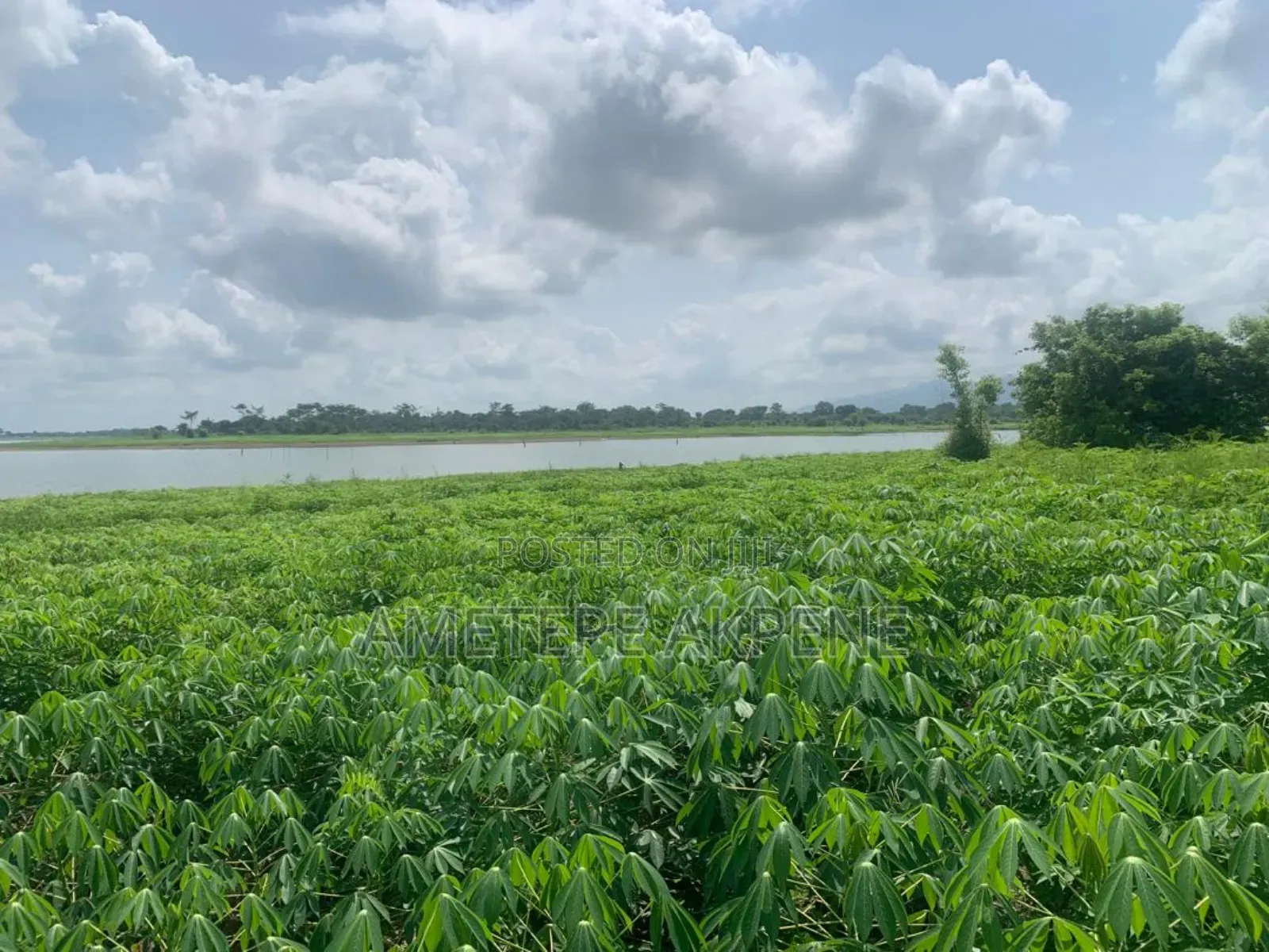 Land for Sale at Havé Aveyoyoe