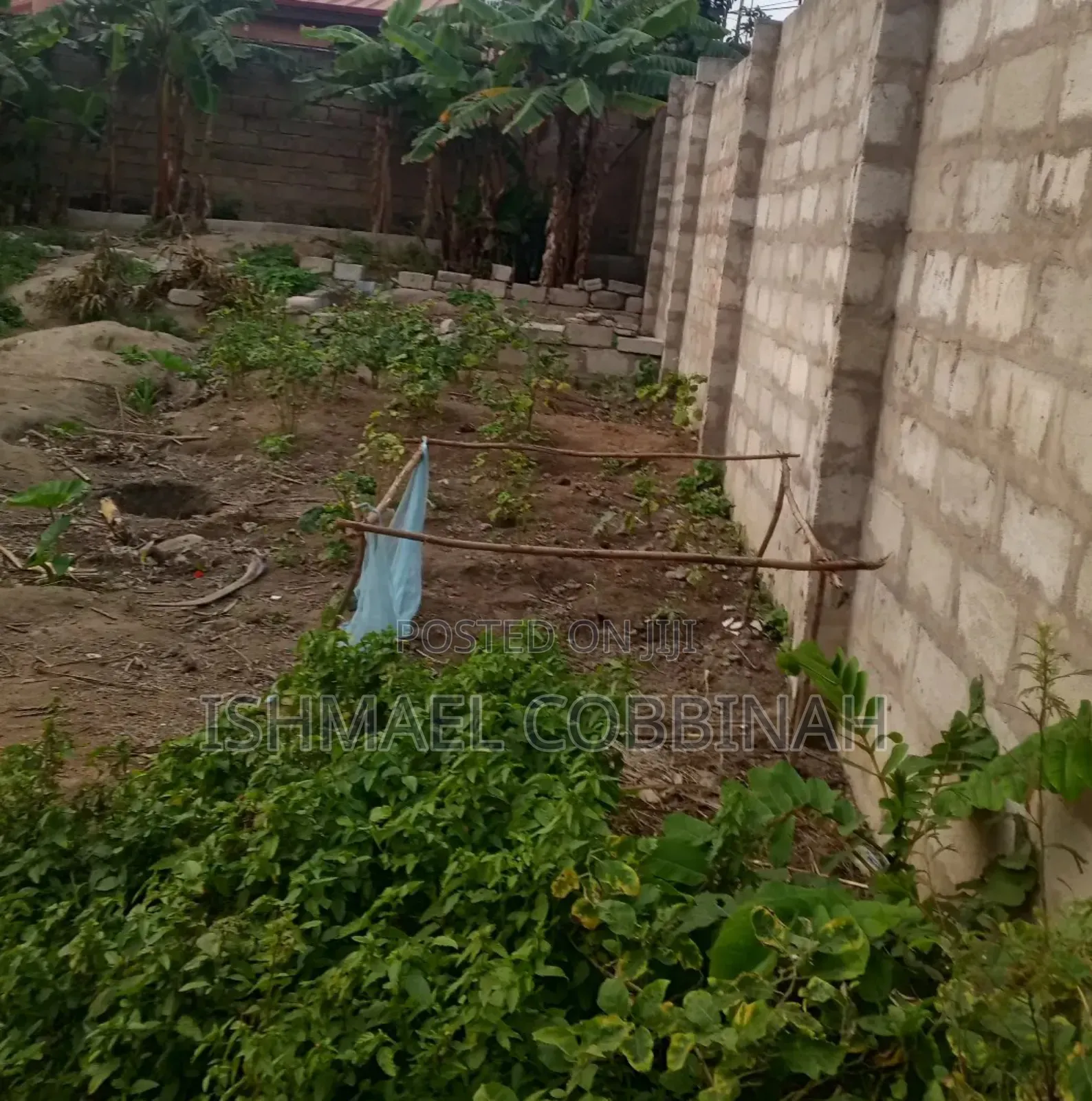 Genuine 1plot of Land for Sale at Agblezaa Manet