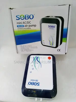 Powerful 2 Outlet Rechargeable Air Pump