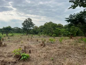 3000 Acres of Farm Land