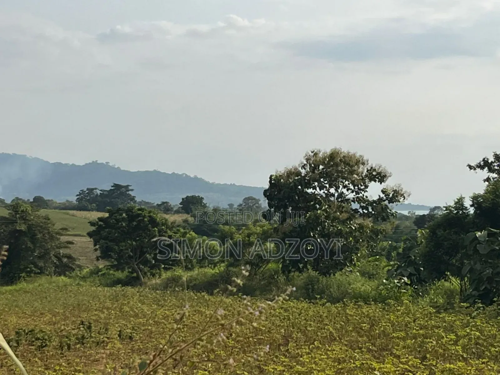 3000 Acres of Farm Land