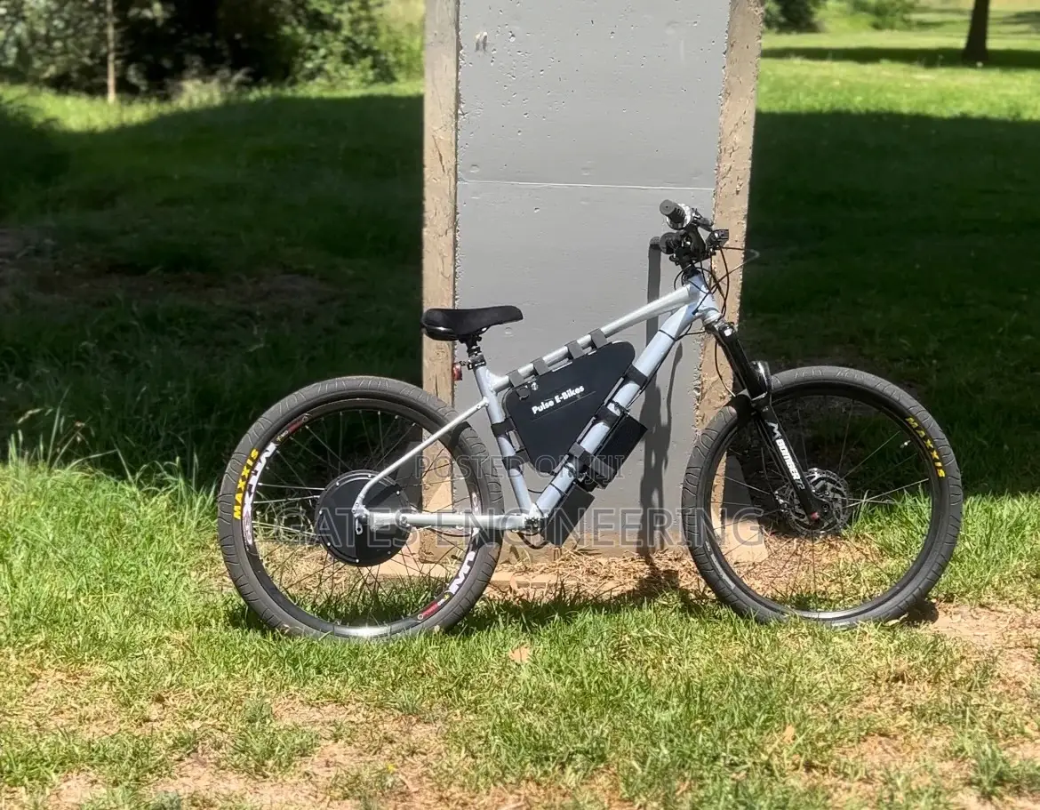 We Convert Any Bicycle to Ebike