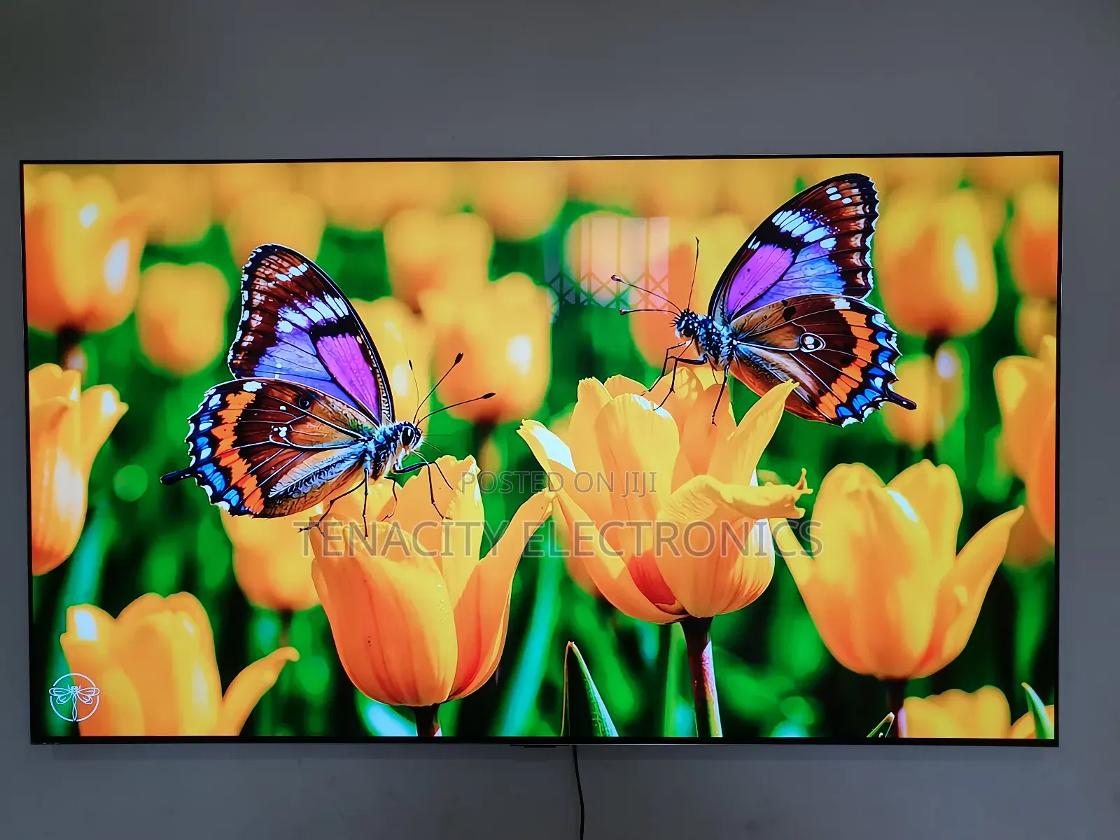 Lg Oled G3 Uhd HDR Smart Satellite Tv