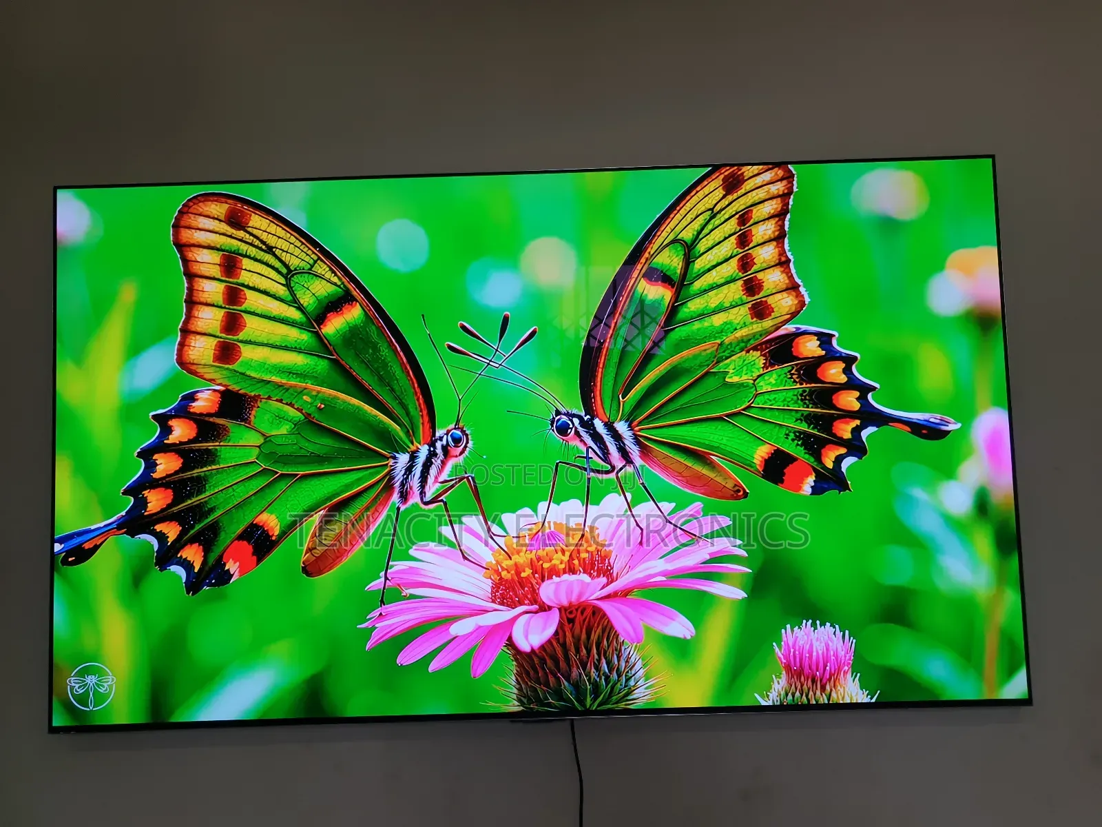 Lg Oled G3 Uhd HDR Smart Satellite Tv