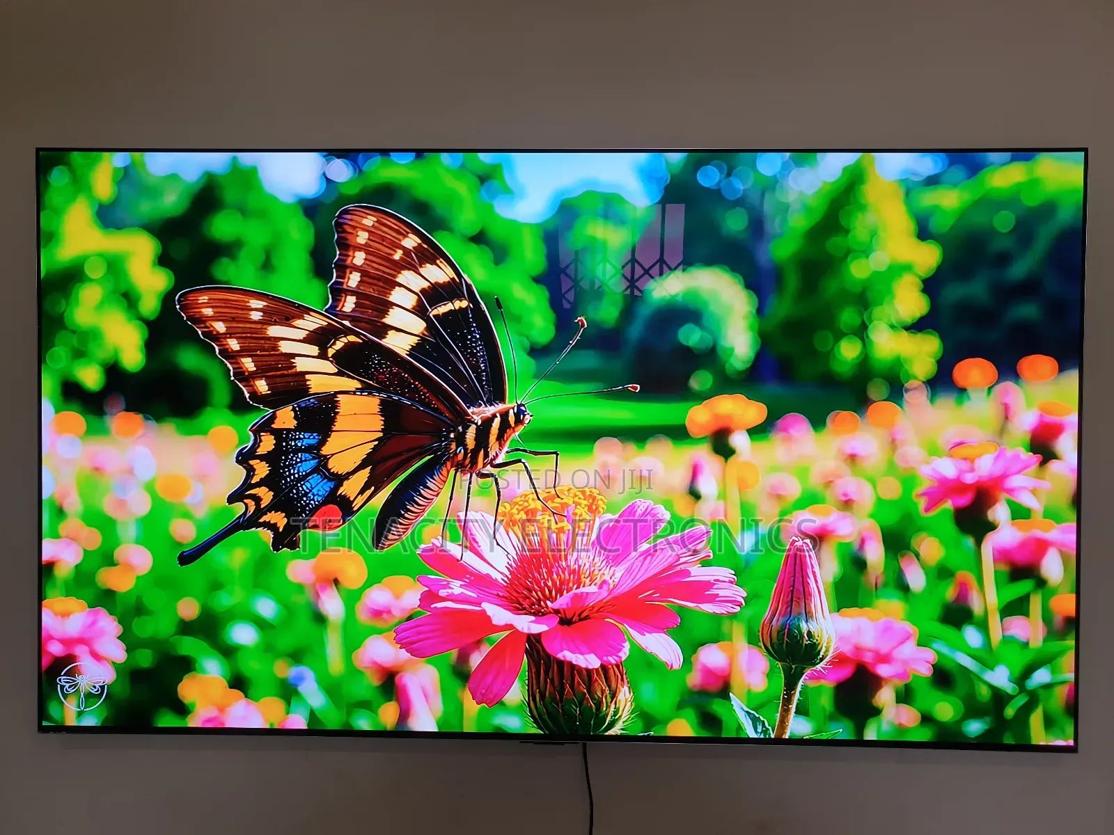 Lg Oled G3 Uhd HDR Smart Satellite Tv
