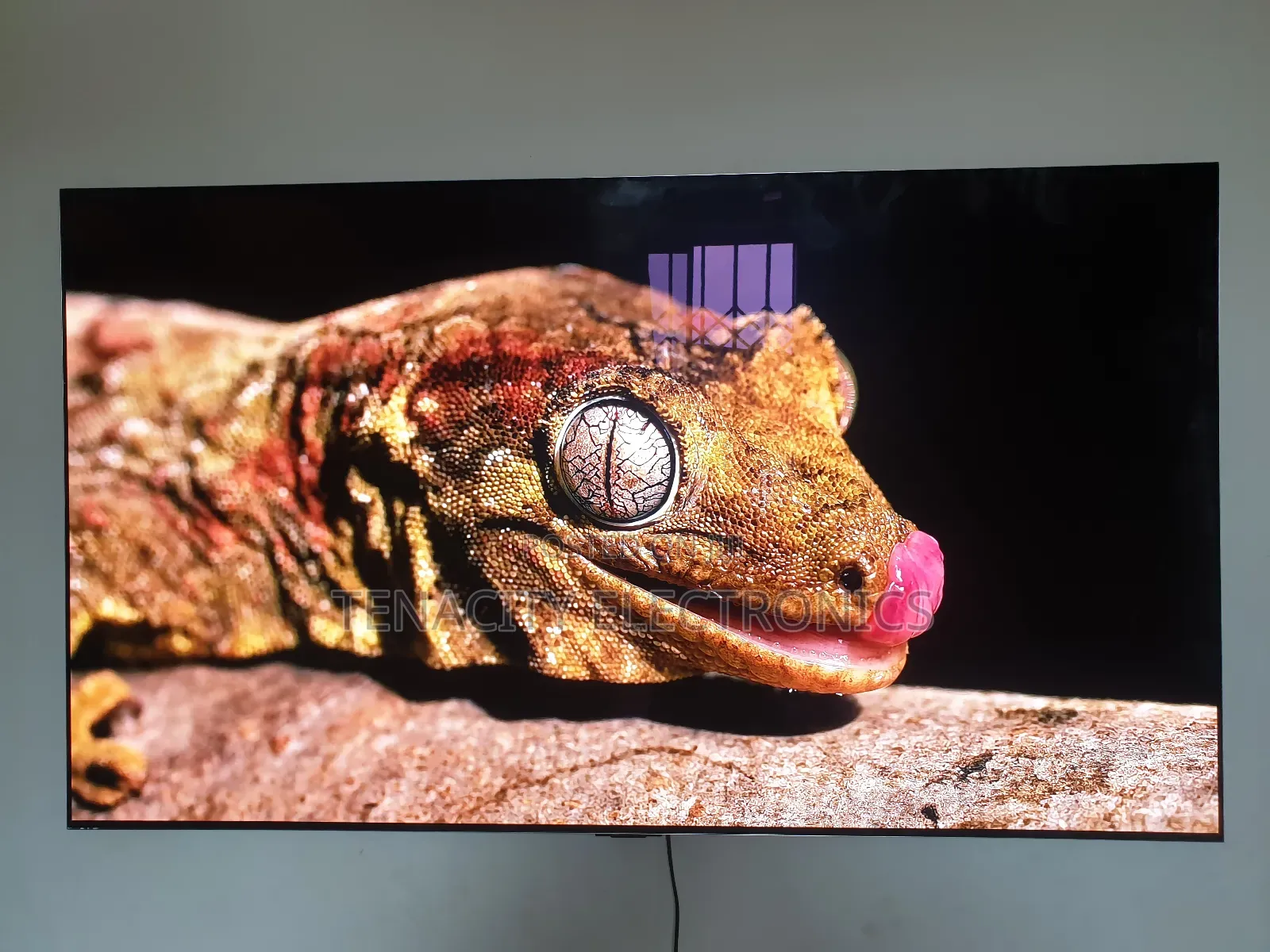 Lg Oled G3 Uhd HDR Smart Satellite Tv