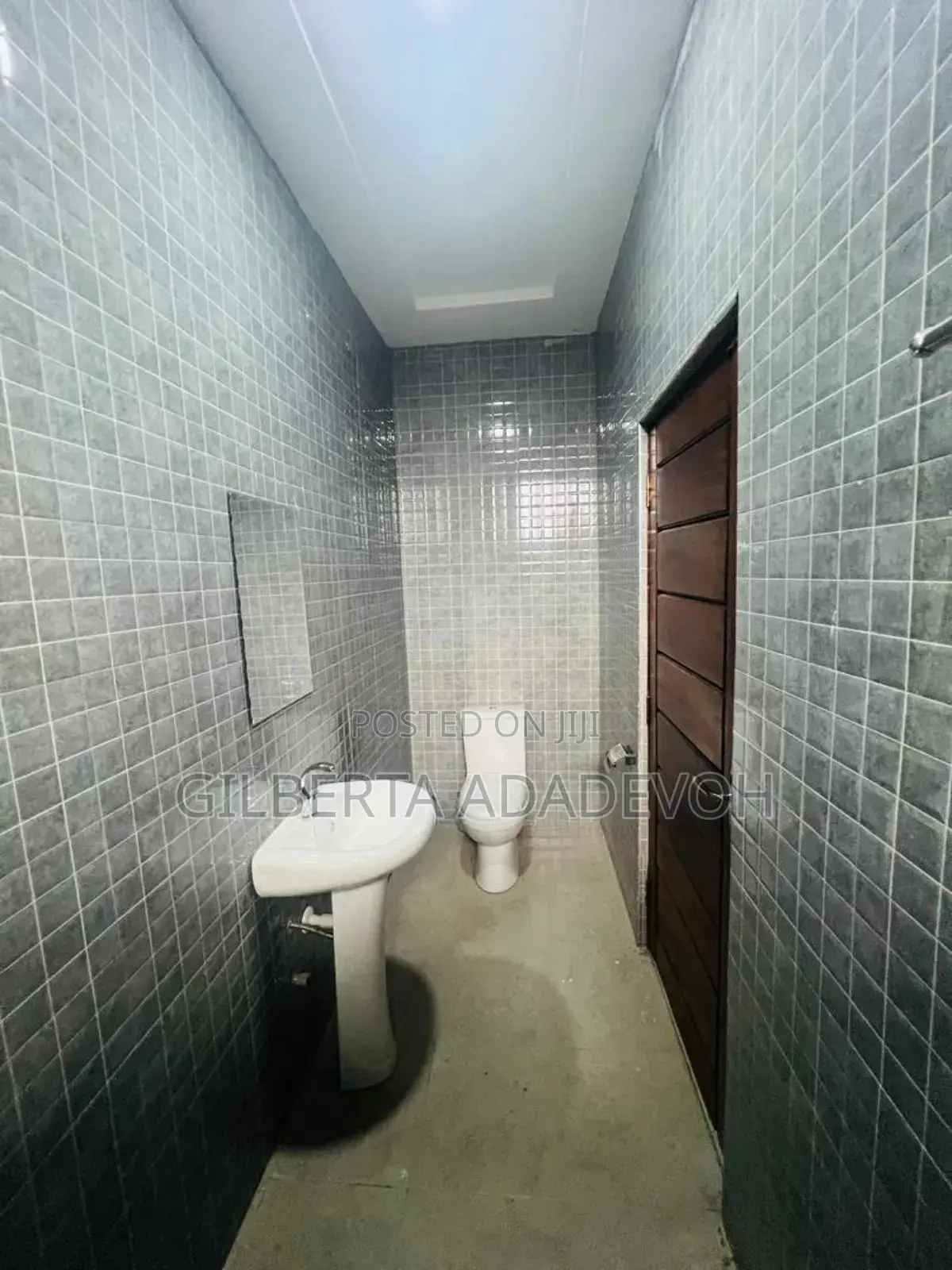 1bdrm Apartment in Borga Homes, Danfa for rent