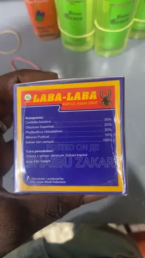 Laba- Laba Joint