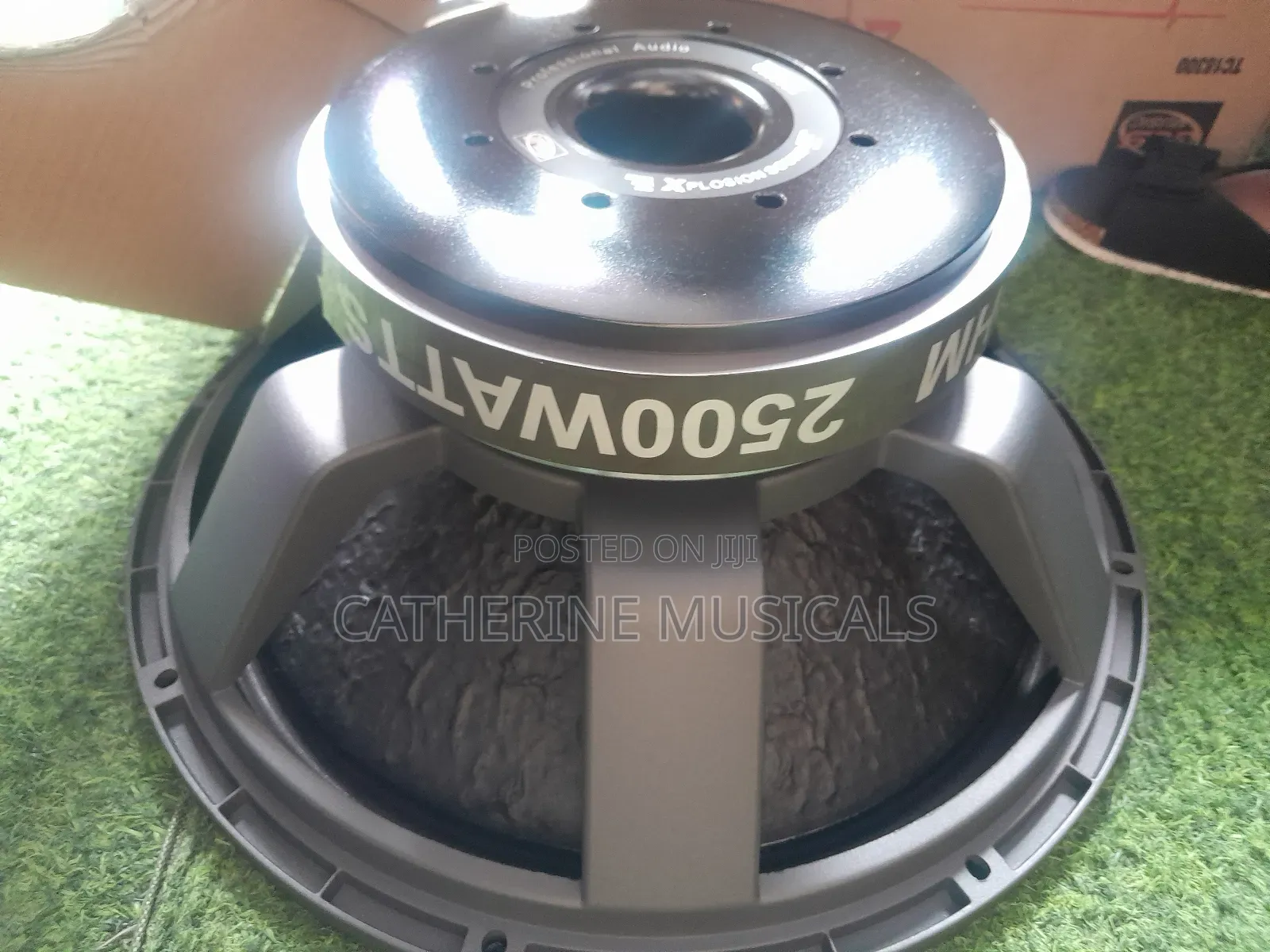 Titanic Naked Speaker 2500watt