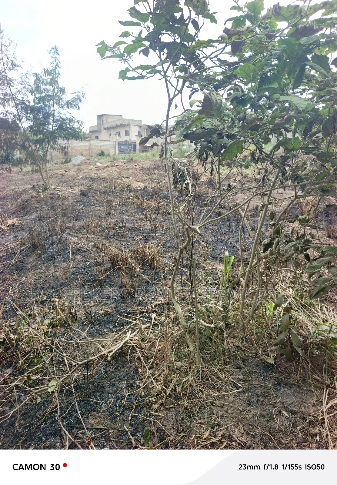 Hot Deal! Land for Sale – Abokobi Boye