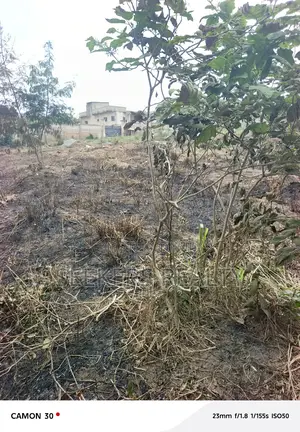 Hot Deal! Land for Sale – Abokobi Boye